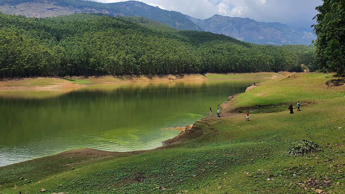 ecopintmunnar