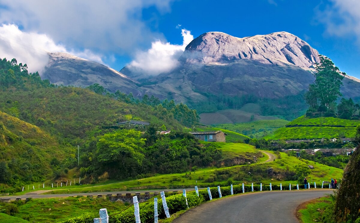 munnar hillstation kerala (1)