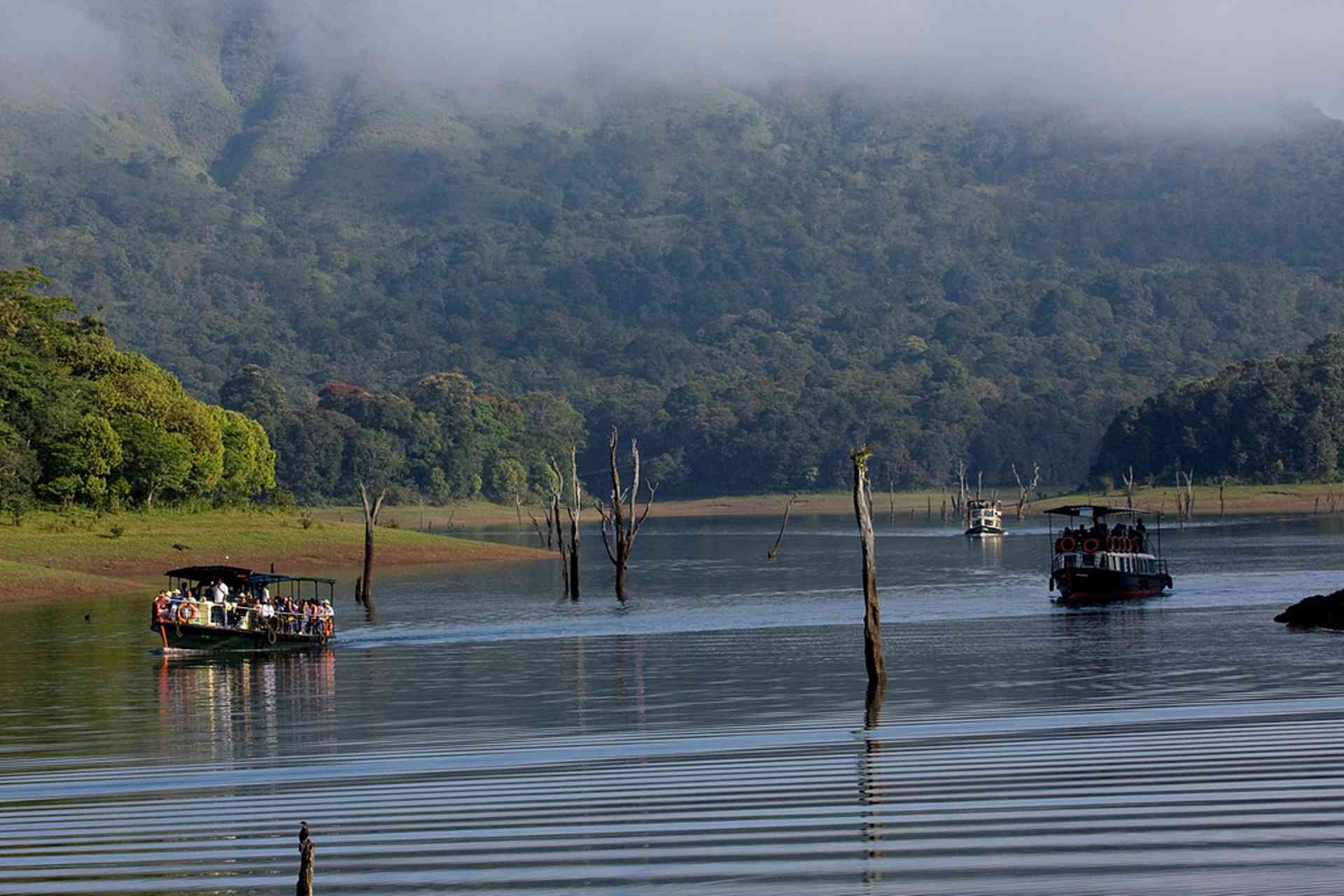 thekkady 14