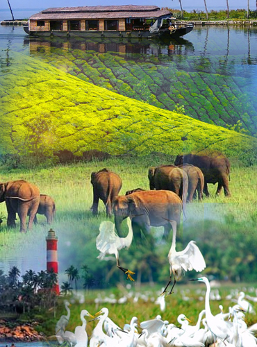 kumarakom