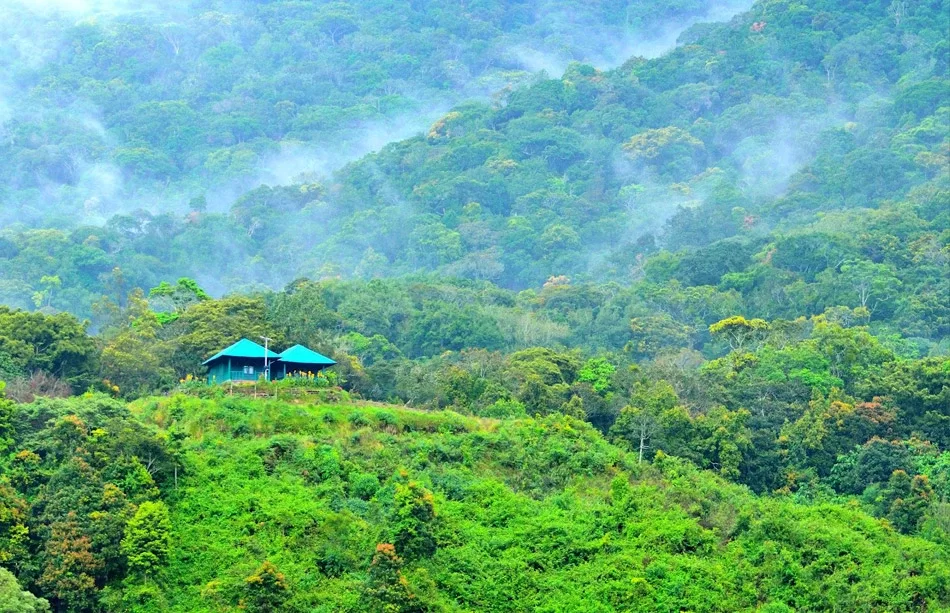 pambadumchola