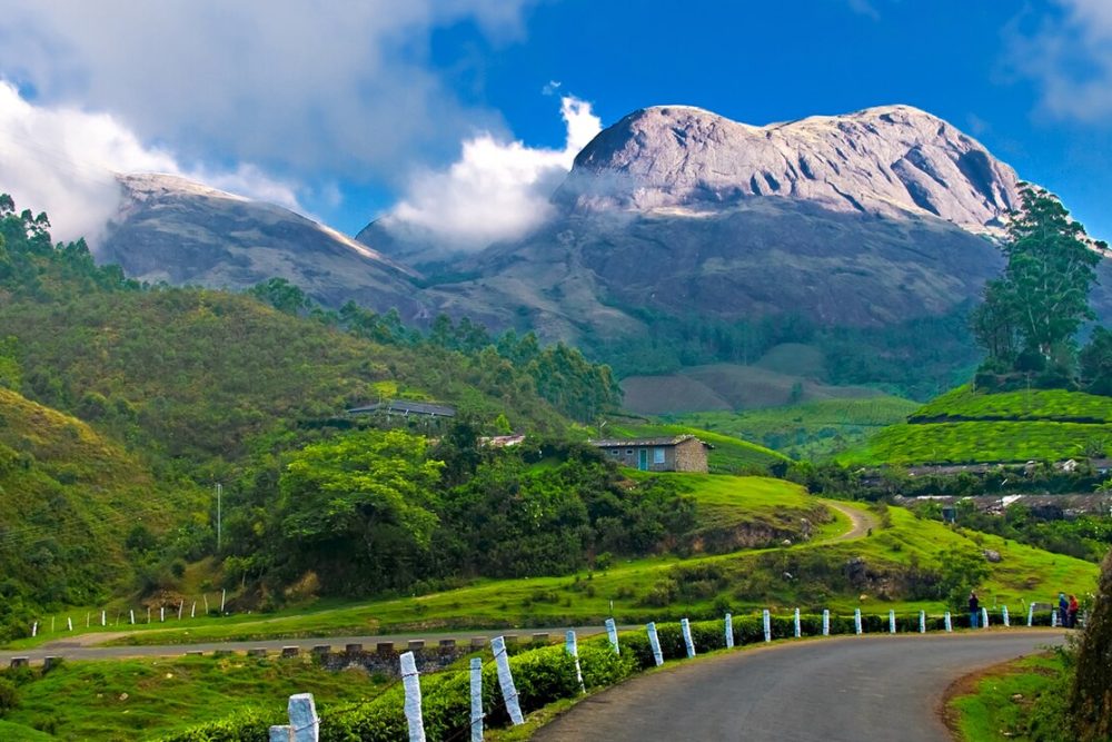 munnar hillstation kerala (1)