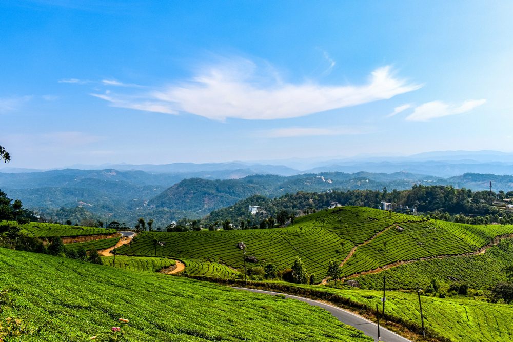 munnar2